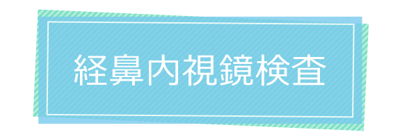 経鼻内視鏡検査